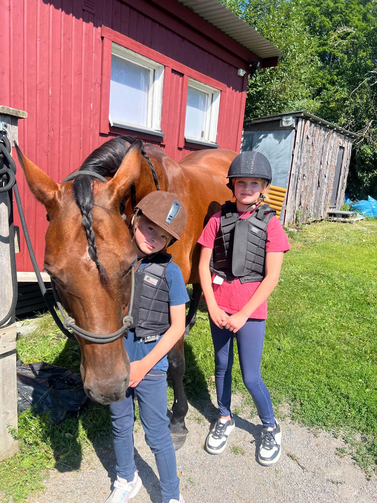 Två barn i hjälm och skyddsväst står tillsammans med en brun häst utanför stallet