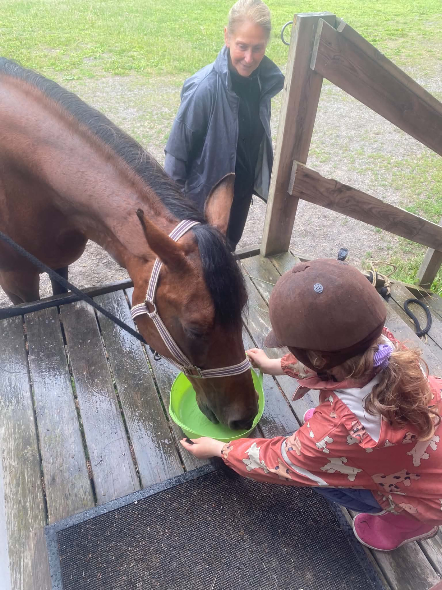 Ett barn ger en brun häst vatten ur en grön hink medan en vuxen ser på